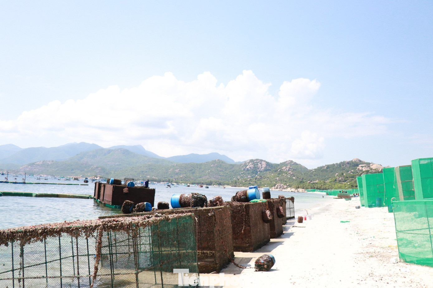 Lồng bè nuôi tôm hùm bám đầy rác sau 1 năm nuôi được chủ lồng thuê người đưa vào bờ biển Bình Lập cạo hết rác thải bám xung quanh để sau đó sử dụng tiếp.
