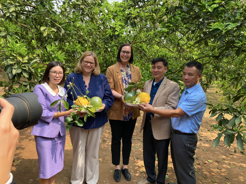 Hai Thứ trưởng Nông nghiệp Mỹ được chủ vườn tặng bưởi Diễn. (Ảnh: Thu Loan) Hai Thứ trưởng Nông nghiệp Mỹ được chủ vườn tặng bưởi Diễn. (Ảnh: Thu Loan)
