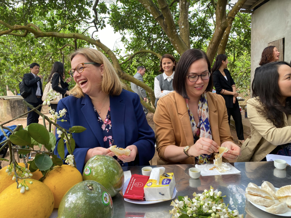 Hai Thứ trưởng Nông nghiệp Mỹ Alexis Taylor và Jenny Moffitt nếm thử bưởi Diễn tại vườn bưởi ở xã Cát Quế, Hoài Đức. (Ảnh: Thu Loan) Hai Thứ trưởng Nông nghiệp Mỹ Alexis Taylor và Jenny Moffitt nếm thử bưởi Diễn tại vườn bưởi ở xã Cát Quế, Hoài Đức. (Ảnh: Thu Loan)