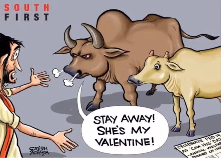 Một bức tranh biếm hoạ ý tưởng biến lễ Valentine thành "Ngày ôm bò"