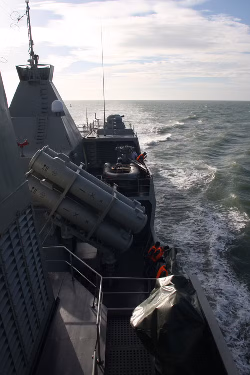 Đinh Tiên Hoàng (HQ-011) và Lý Thái Tổ (HQ-012) thuộc lớp tàu hộ vệ tên lửa Gepard 3.9 hiện đại hàng đầu của Hải quân Việt Nam hiện nay