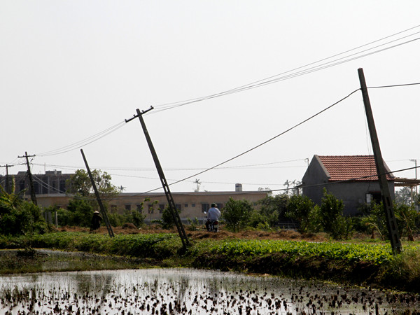 Hệ thống đường điện cũng chịu ảnh hưởng. Điện sáng gia đình mới tạm được khắc phục để phục vụ đời sống nhân dân. Hệ thống điện đường như ở nhiều xã huyện Hải Hậu (Nam Định), Thái Thụy (THái Bình)chưa thể khắc phục