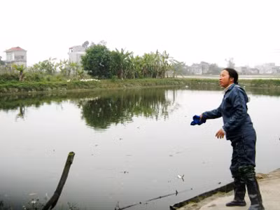 Nơi phát hiện thi thể cháu Đào. Ảnh: Xuân Thắng