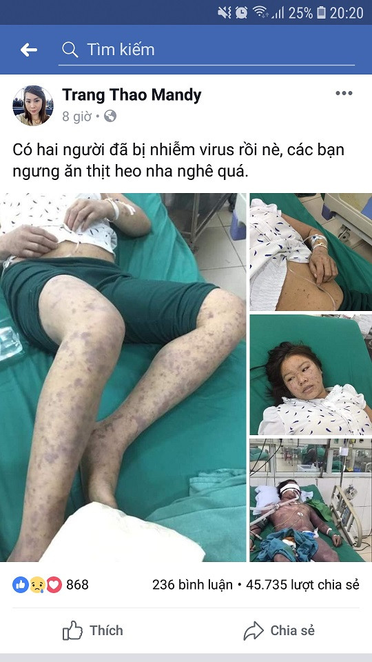 Đề nghị xử lý đăng thông tin thất thiệt về dịch tả lợn châu Phi ảnh 1