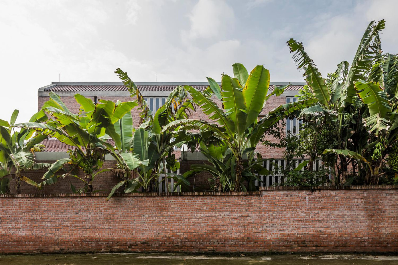 Chất liệu tường và sân được sử dụng gạch đỏ lộ thiên, loại vật liệu bình dân nhưng tạo nên sự ấm cúng cho cảnh quan. Cây trồng trong vườn cũng được chọn từ những cây địa phương.