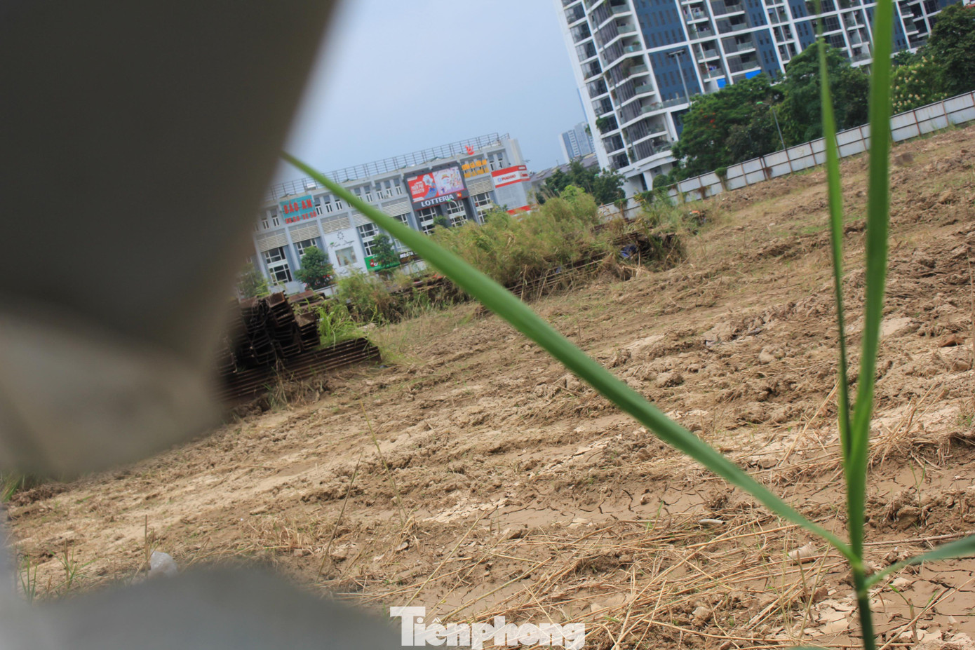 Vật liệu sắt thép tập kết tại các ô đất bỏ hoang bị cỏ dại che lấp và hoen gỉ theo thời gian.