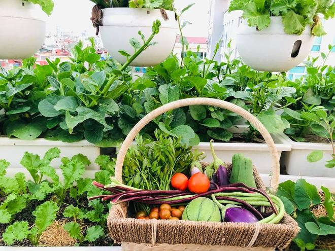 Trồng rau tại nhà không chỉ mang lại nguồn thực phẩm an toàn cho gia đình mà còn giúp bạn thư giãn, rèn luyện sự kiên nhẫn, trí tưởng tượng và khả năng quản lý. Trồng rau tại nhà không chỉ mang lại nguồn thực phẩm an toàn cho gia đình mà còn giúp bạn thư giãn, rèn luyện sự kiên nhẫn, trí tưởng tượng và khả năng quản lý.