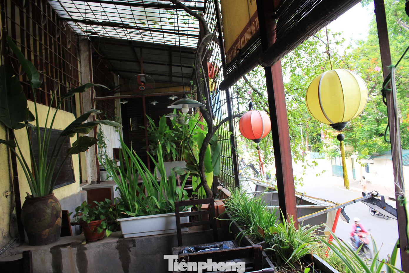 Qua khảo sát, có thể thấy hầu hết những mô hình kinh doanh cà phê chung cư đều nằm ở tầng 2 hoặc tầng 3 của khu tập thể cũ vì nơi này xây dựng đã lâu, không có thang máy nên nếu chọn tầng cao sẽ khiến khách hàng vất vả khi tìm đến. Bên cạnh đó, có thể tận dụng phần bê tông nhô ra của tầng 1 để làm ban công cho khách ngồi. Một số chủ cửa hàng cho biết họ lựa chọn kinh doanh ở khu tập thể cũ một phần là do sở thích, một phần là bởi thị trường giá thuê mặt bằng ở những nơi này không cao, khoảng 4 –8 triệu/ tháng/căn 40 - 80m2, thấp hơn rất nhiều lần so với cùng diện tích ở nơi đắc địa. Trong khi đó, nếu lựa chọn mô hình kinh doanh hiện đại, ở nơi thuận tiện thì chi phí thuê mặt bằng quá cao, lại vấp phải nhiều sự cạnh tranh nên khó bám trụ và tồn tại được giữa đại dịch COVID – 19. Tuy nhiên, lựa chọn kinh doanh ở khu tập thể, chung cư cũ cũng tồn tại nhiều vấn đề, thách thức người kinh doanh như cơ sở hạ tầng xuống cấp, nhếch nhác, các yếu tố về PCCC không hoàn toàn được đảm bảo. Bên cạnh đó, hiện nay không có quy định trực tiếp, rõ ràng về việc nhà tập thể có được sử dụng để làm nơi kinh doanh hay không. Tuy nhiên với tính chất như nhà chung cư nhiều tầng, dùng mục đích để ở nên phòng đăng ký kinh doanh sẽ từ chối chấp nhận việc sử dụng nhà tập thể vào mục đích đăng ký hộ kinh doanh.