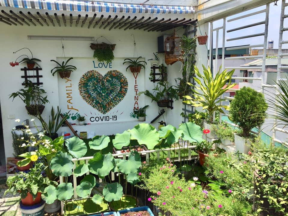 Vườn sân thượng, vườn ban công vừa là góc thư giãn lý tưởng, vừa là nguồn cung cấp thực phẩm an toàn và tiện lợi. Vườn sân thượng, vườn ban công vừa là góc thư giãn lý tưởng, vừa là nguồn cung cấp thực phẩm an toàn và tiện lợi.