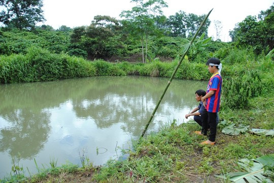 Đại tang gia đình có 3 đứa con chết đuối ảnh 2