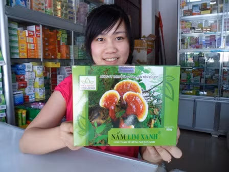 Nấm lim xanh Tiên Phước. Nấm linh xanh Tiên Phước