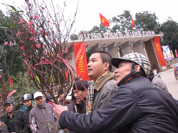... tuy nhiên, giá đào vẫn rất đắt. Cành đào trong ảnh được quát với giá 500 nghìn. Cuối cùng, cành đào được mua với giá 400 nghìn