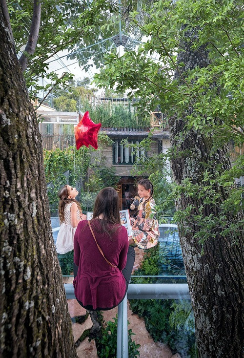 Nhà lơ lửng trên cây trong suốt độc nhất thế giới ảnh 2