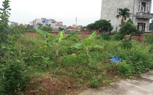 Xử lý trách nhiệm nguyên Chủ tịch huyện Hoài Đức ảnh 1