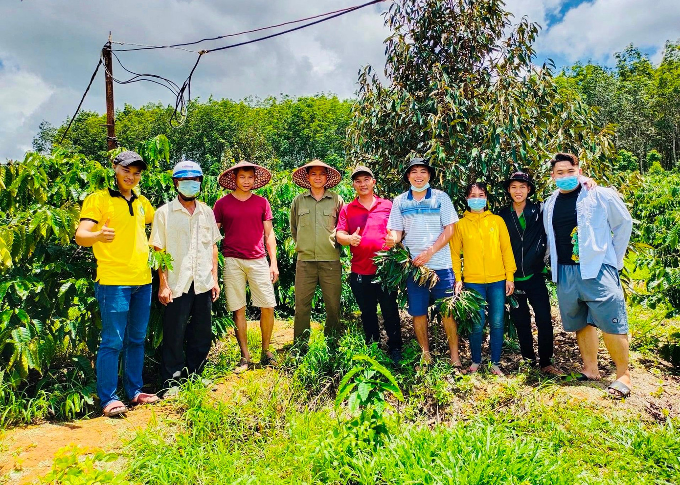 Mô hình vườn cà phê xen kẽ cây ăn trái ứng dụng công nghệ sinh học của anh Bình