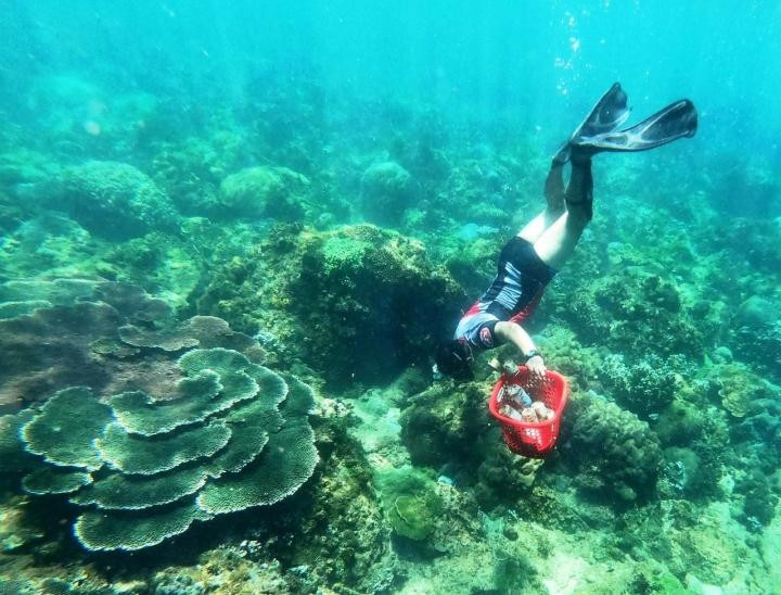 Tua dọn rác dưới đáy biển của anh Công Trung