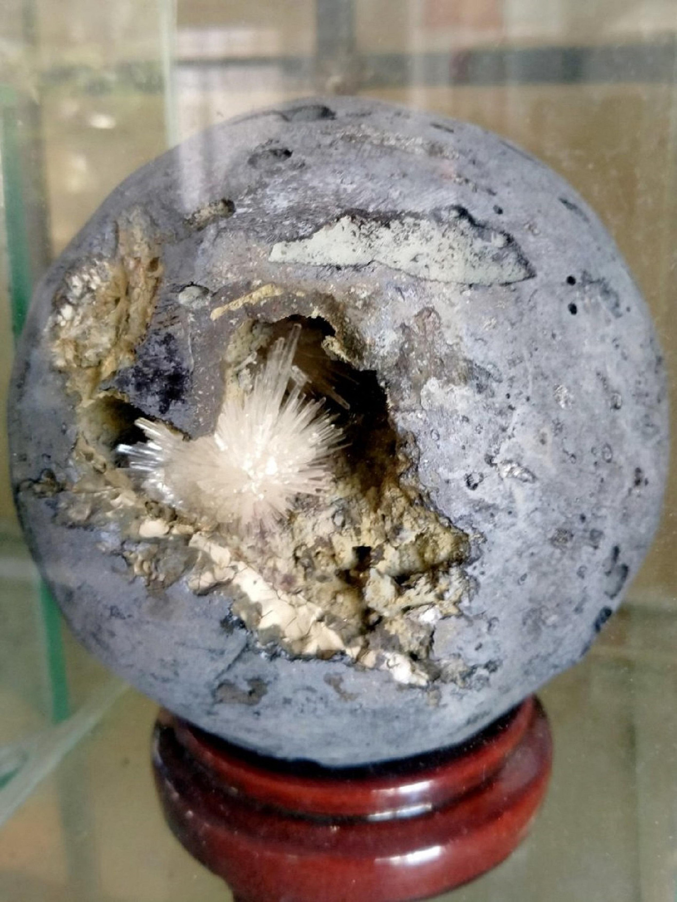 Một hoa đá Ưu đàm tuyệt đẹp