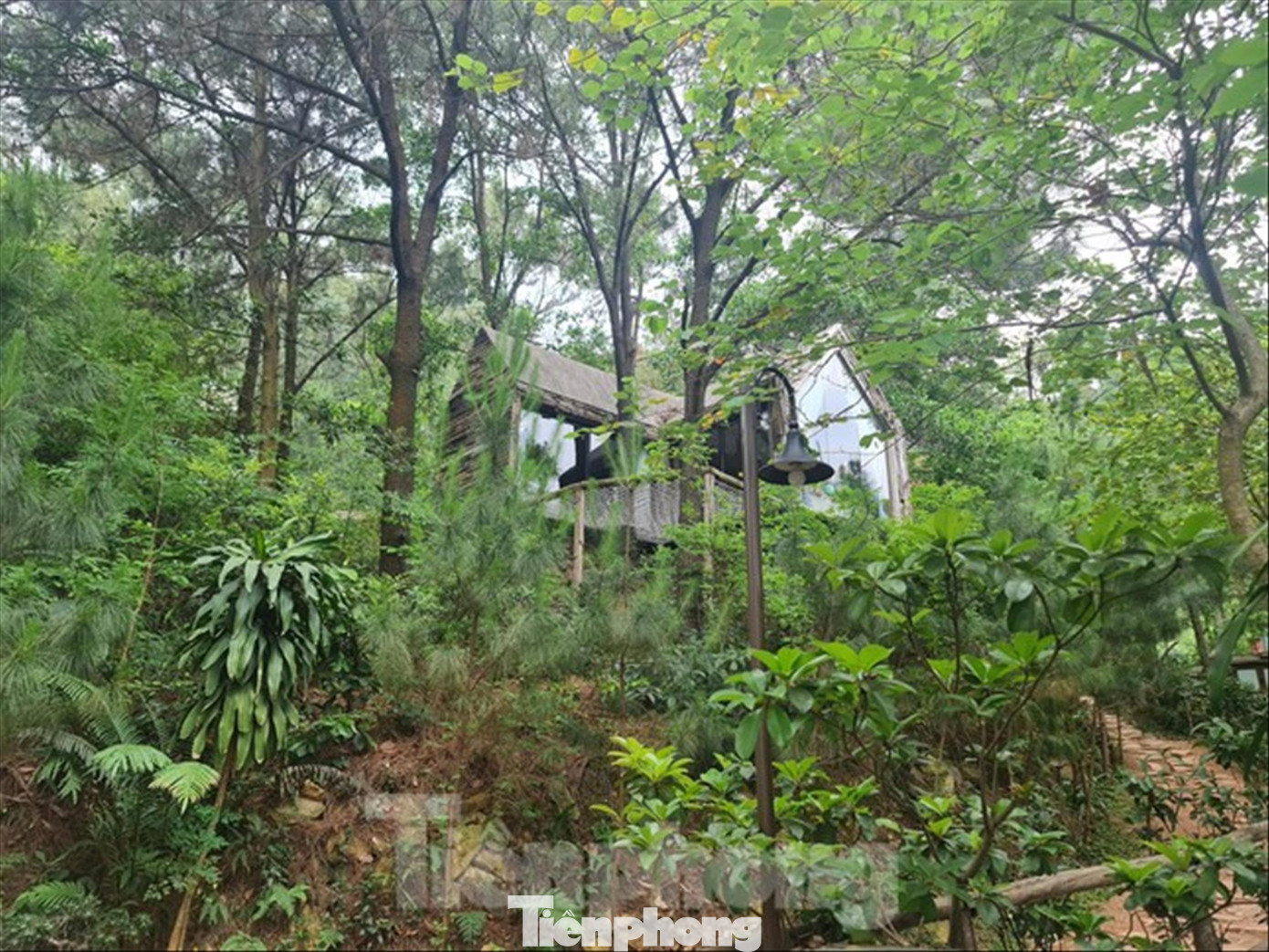 Hà Nội cấm mua bán, chuyển nhượng đất rừng Sóc Sơn Hà Nội cấm mua bán, chuyển nhượng đất rừng Sóc Sơn