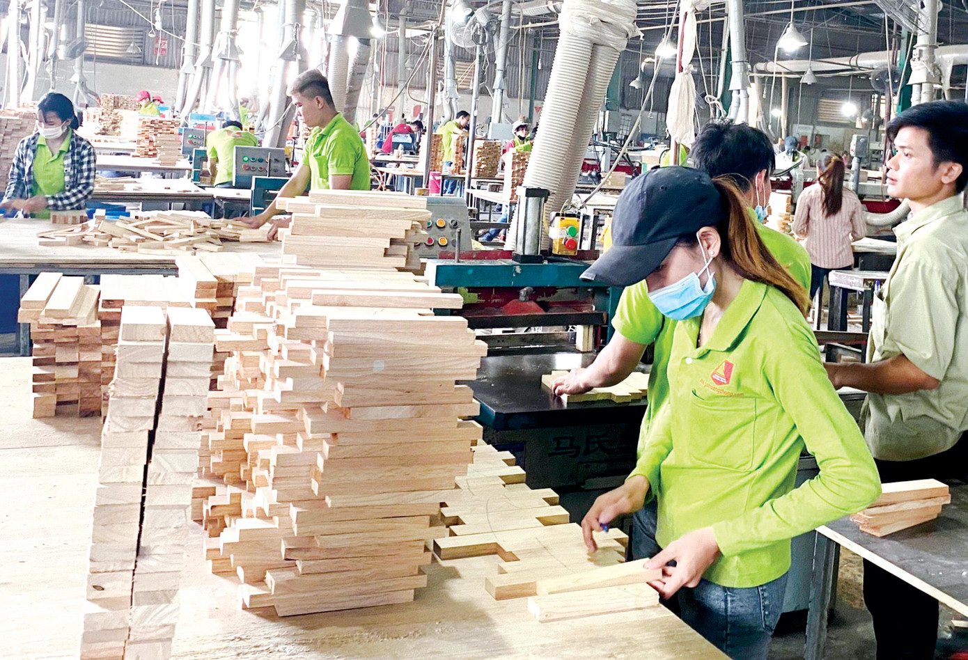 Năm 2021 cũng là kim ngạch gỗ và lâm sản chính đạt gần 16 tỷ USD, tăng trên 20% so với năm trước Năm 2021 cũng là kim ngạch gỗ và lâm sản chính đạt gần 16 tỷ USD, tăng trên 20% so với năm trước