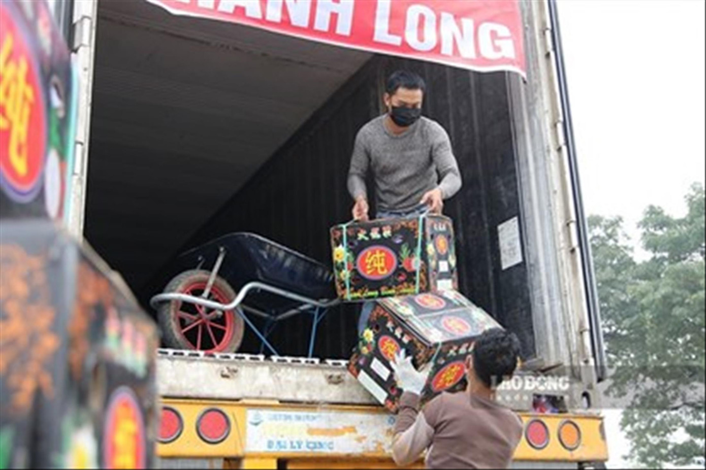 Trong tình thế khó khăn, doanh nghiệp và người dân đều bí giải pháp tiêu thụ thanh long. Ảnh: T.H. Trong tình thế khó khăn, doanh nghiệp và người dân đều bí giải pháp tiêu thụ thanh long. Ảnh: T.H.