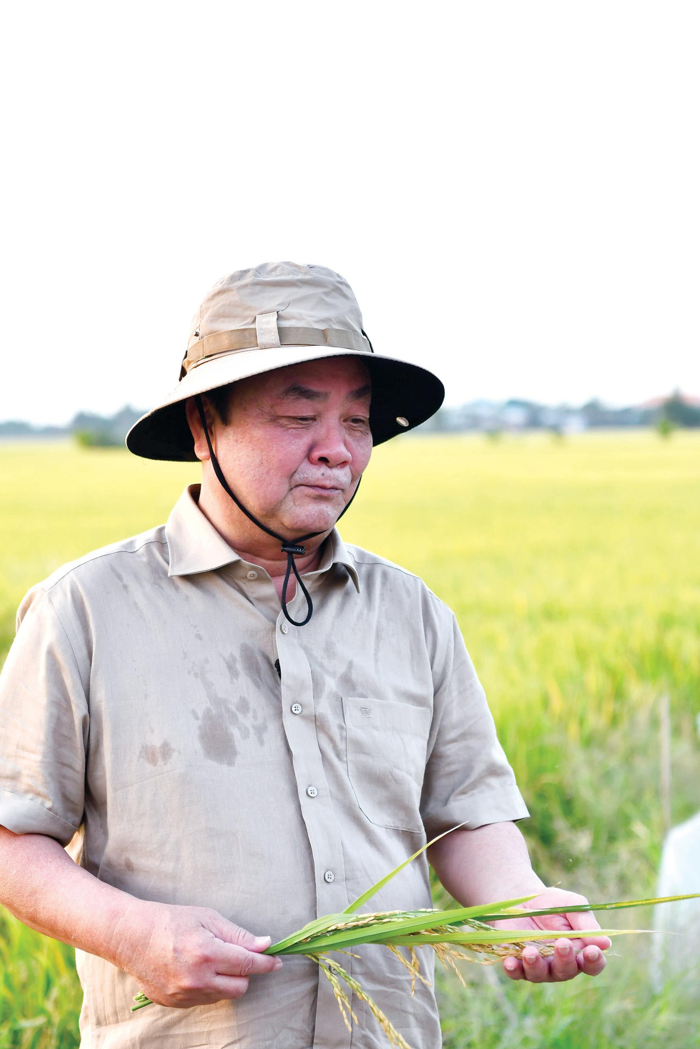 Theo Bộ trưởng NN&PTNT Lê Minh Hoan, ngành sẽ đi theo hướng xoay quanh 3 trụ cột: “nông nghiệp sinh thái”, “nông thôn hiện đại”, “nông dân thông minh” Theo Bộ trưởng NN&PTNT Lê Minh Hoan, ngành sẽ đi theo hướng xoay quanh 3 trụ cột: “nông nghiệp sinh thái”, “nông thôn hiện đại”, “nông dân thông minh”