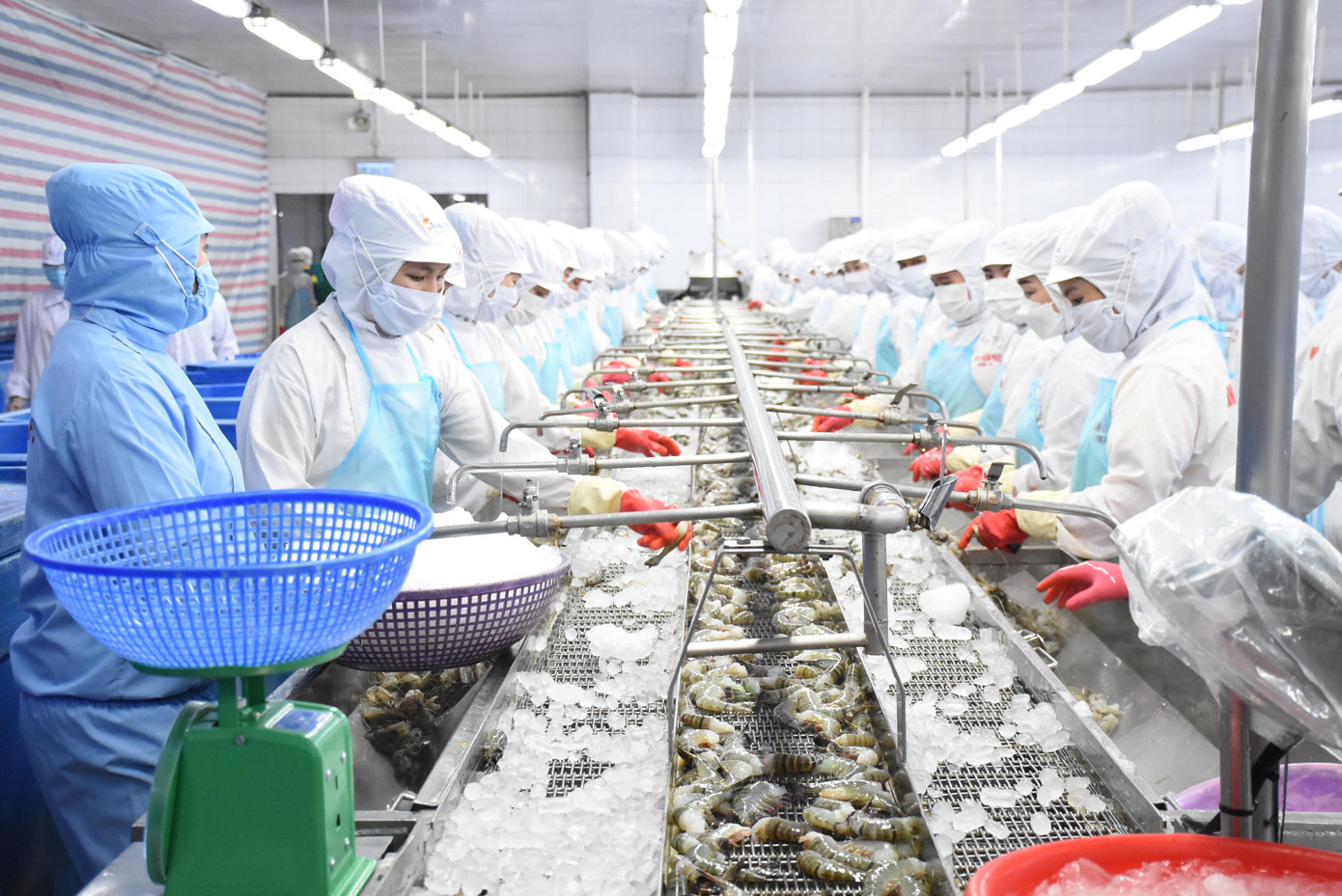 Bến Tre ưu tiên phát triển kinh tế biển Bến Tre ưu tiên phát triển kinh tế biển