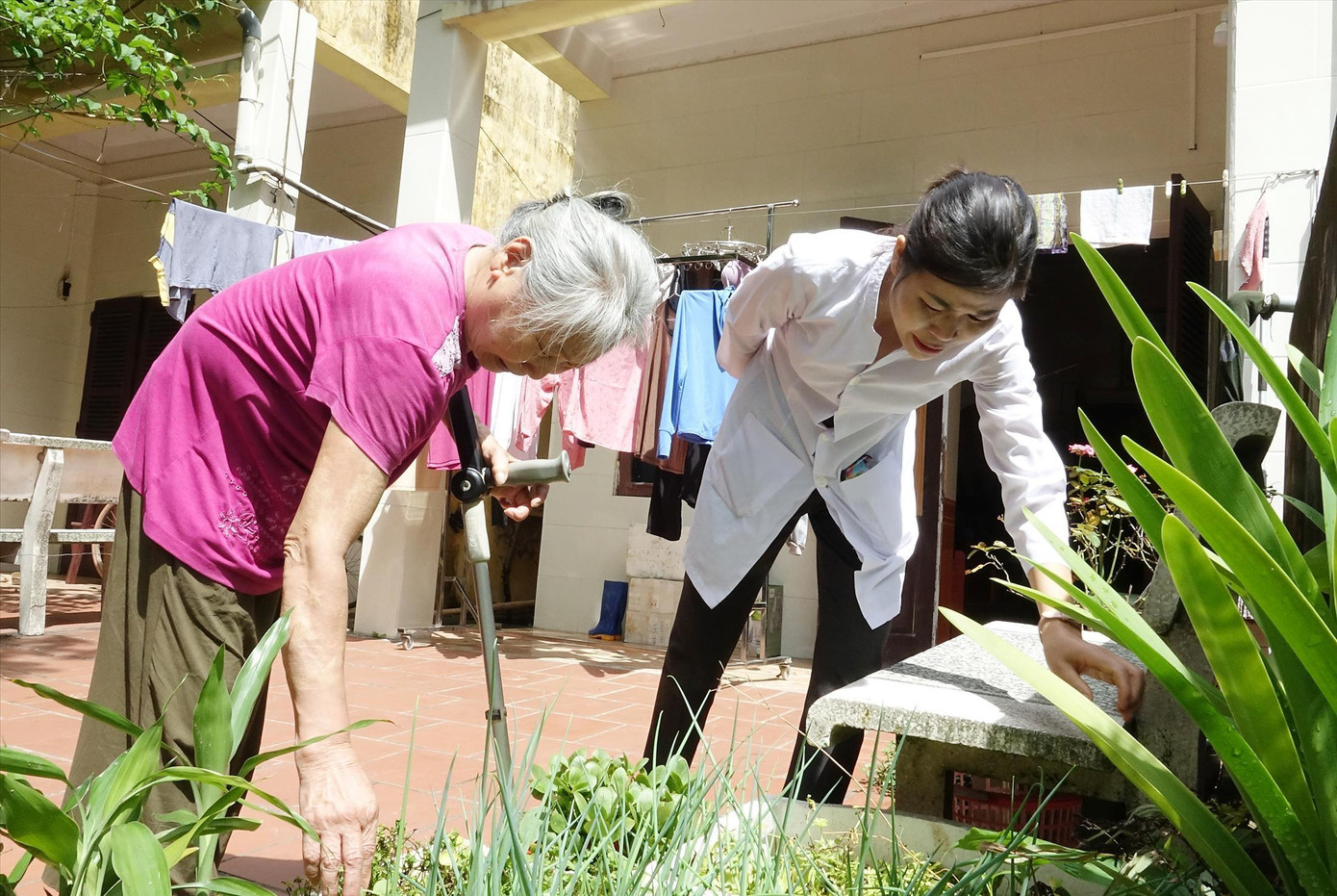 Ở tuổi 72 bà Mai vẫn hằng ngày chăm sóc khu vườn nhỏ dù đi lại khó khăn. Ảnh: Hà Minh