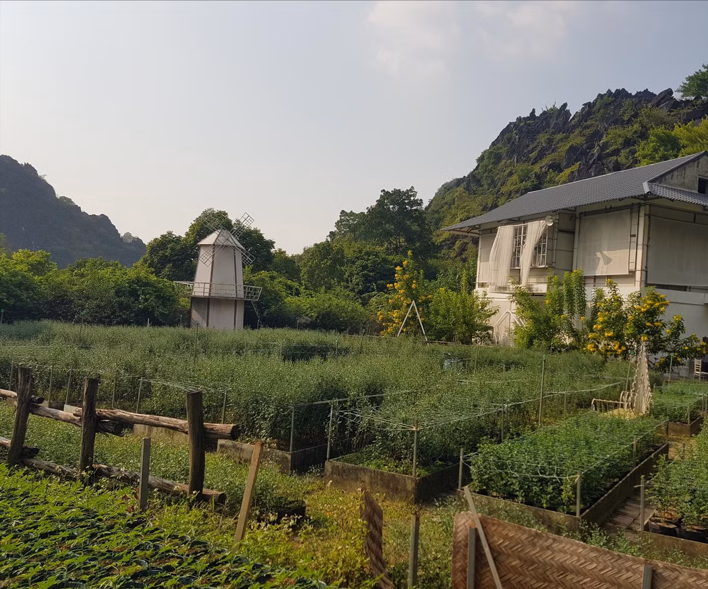 Một góc khu du lịch Động Tiên Sơn