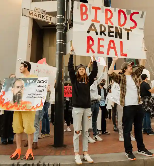 Những cuộc biểu tình về hiện tượng “Những chú chim không có thật”