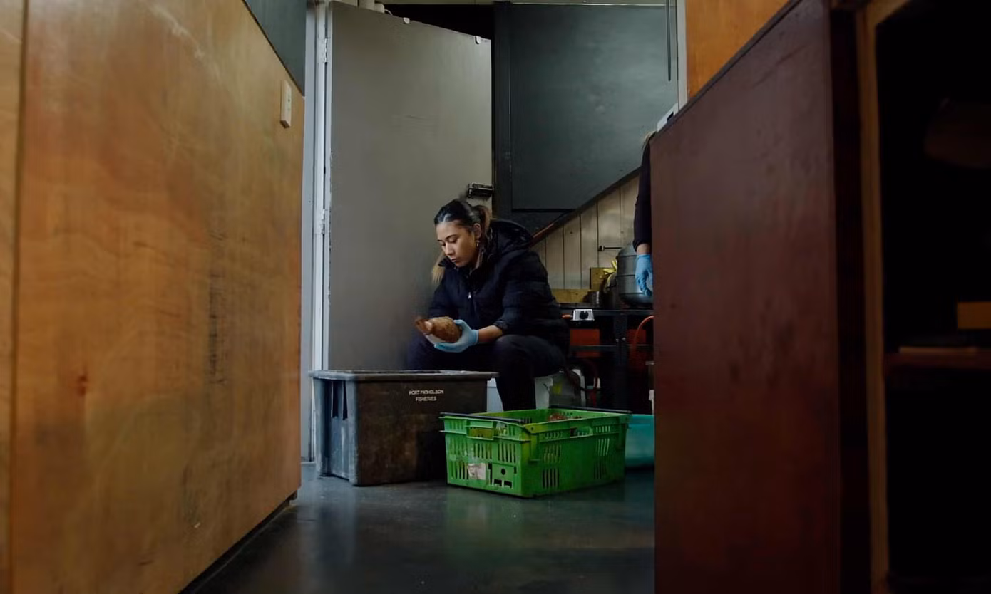 Martynique bán bánh khoai môn nướng và bánh dứa tại cửa hàng đồ ăn mang đi của gia đình em, Samoa’s Finest Martynique bán bánh khoai môn nướng và bánh dứa tại cửa hàng đồ ăn mang đi của gia đình em, Samoa’s Finest