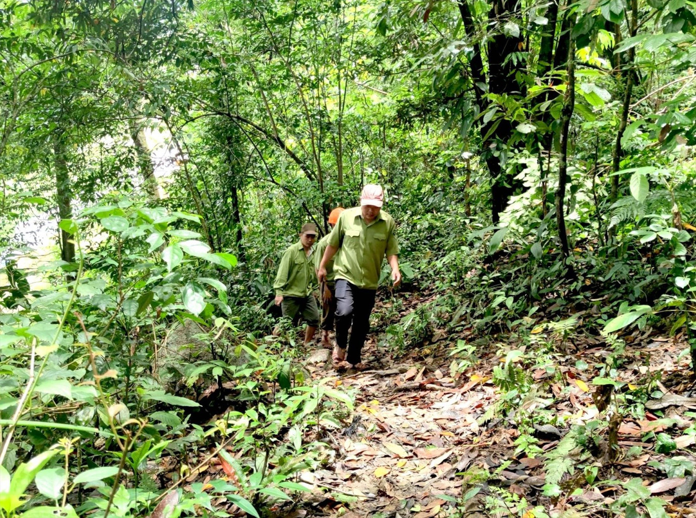 Kiểm lâm viên lội rừng tuần tra bảo vệ rừng Kiểm lâm viên lội rừng tuần tra bảo vệ rừng