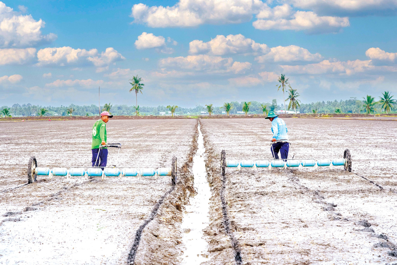 Tập đoàn Tân Long đang tích cực phát triển cánh đồng lớn thông qua mô hình liên kết sản xuất và tiêu thụ cùng các Hợp tác xã kiểu mới Tập đoàn Tân Long đang tích cực phát triển cánh đồng lớn thông qua mô hình liên kết sản xuất và tiêu thụ cùng các Hợp tác xã kiểu mới