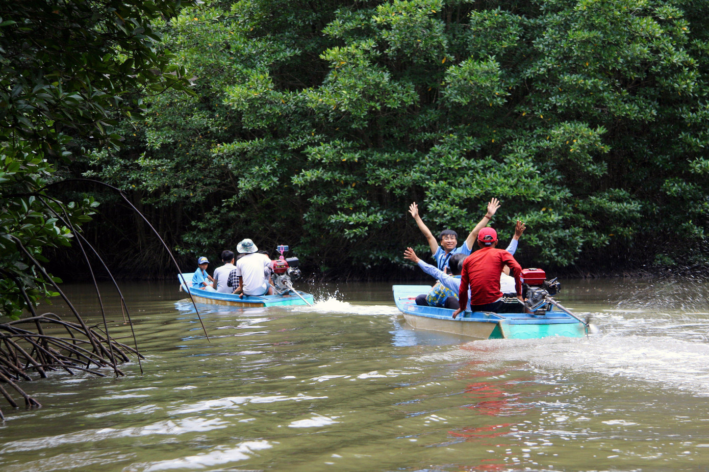 Khách du lịch tham quan trải nghiệm rừng ngập mặn Cà Mau Khách du lịch tham quan trải nghiệm rừng ngập mặn Cà Mau