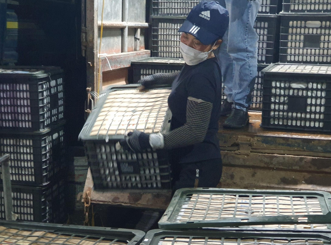 Bốc vác những thùng hoa quả nặng khoảng 40 - 50kg, lao động chỉ được trả 5.000 đồng/hộp Bốc vác những thùng hoa quả nặng khoảng 40 - 50kg, lao động chỉ được trả 5.000 đồng/hộp