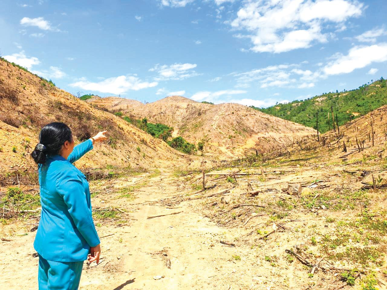Diện tích đất ông Hương cho các hộ dân mượn trồng rừng. Sau khi người dân khai hoang, trồng rừng thì ông Hương ký hợp thức rồi cấp cho vợ, dù đất do xã quản lý Diện tích đất ông Hương cho các hộ dân mượn trồng rừng. Sau khi người dân khai hoang, trồng rừng thì ông Hương ký hợp thức rồi cấp cho vợ, dù đất do xã quản lý