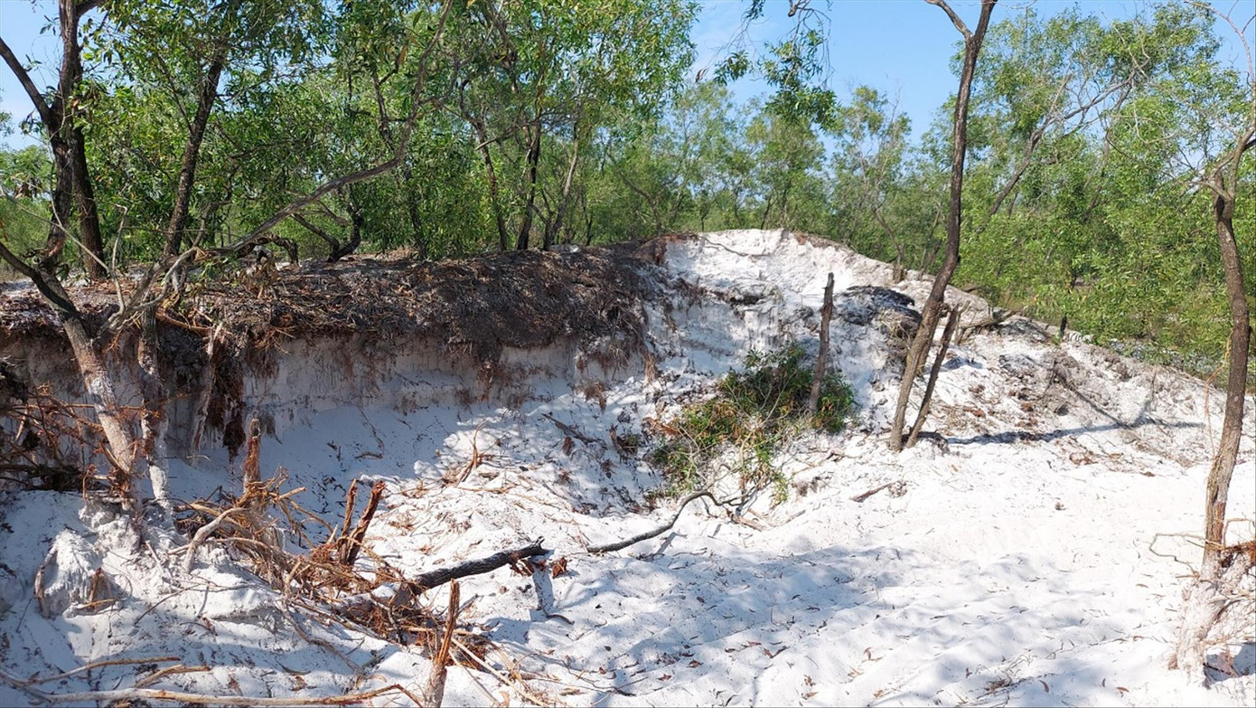 Đồi cát trắng trong khu vực rừng phòng hộ ở 2 huyện Hải Lăng và Triệu Phong bị “cát tặc” băm nát Đồi cát trắng trong khu vực rừng phòng hộ ở 2 huyện Hải Lăng và Triệu Phong bị “cát tặc” băm nát