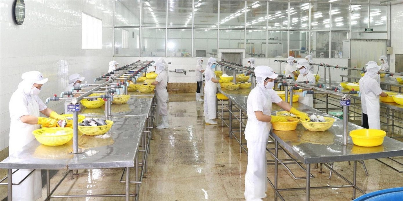 Doanh nghiệp xuất khẩu thủy sản gặp khó sau khi xung đột Nga - Ukraine xảy ra