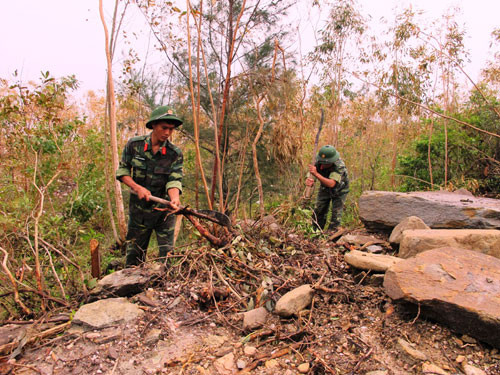 Phát quang hành lang đường lên khu vực an nghỉ của Đại tướng