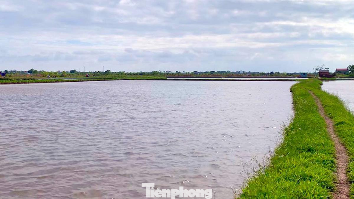 Rươi chỉ sống ở môi trường sạch, ở vùng nước lợ, gần cửa sông, có thủy triều. Người dân sẽ đắp bờ, chia luồng lạch, cải tạo đất làm môi trường cho rươi sinh trưởng mà không cần phải cho ăn, không phải chăm sóc.