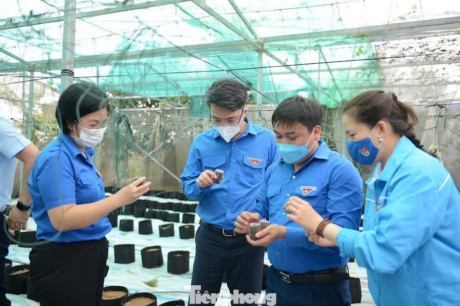 Theo đó, đoàn viên đảm nhận mô hình được hỗ trợ thực hiện một số kỹ thuật trồng, chăm sóc, thu hoạch, bảo quản một số giống cây trồng (dưa kim cô nương, ớt chuông) mang lại hiệu suất kinh tế cao. Theo đó, đoàn viên đảm nhận mô hình được hỗ trợ thực hiện một số kỹ thuật trồng, chăm sóc, thu hoạch, bảo quản một số giống cây trồng (dưa kim cô nương, ớt chuông) mang lại hiệu suất kinh tế cao.