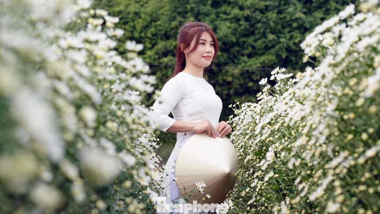 Theo ghi nhận của phóng viên, tại các vườn hoa ở đây, chủ vườn thu phí 30.000-50.000 đồng/khách, 50.000 đồng/hoa cúc bó sẵn. Ước tính khi kết thúc mùa hoa cúc họa mi, chủ mỗi vườn có thu nhập gần 100 triệu đồng.