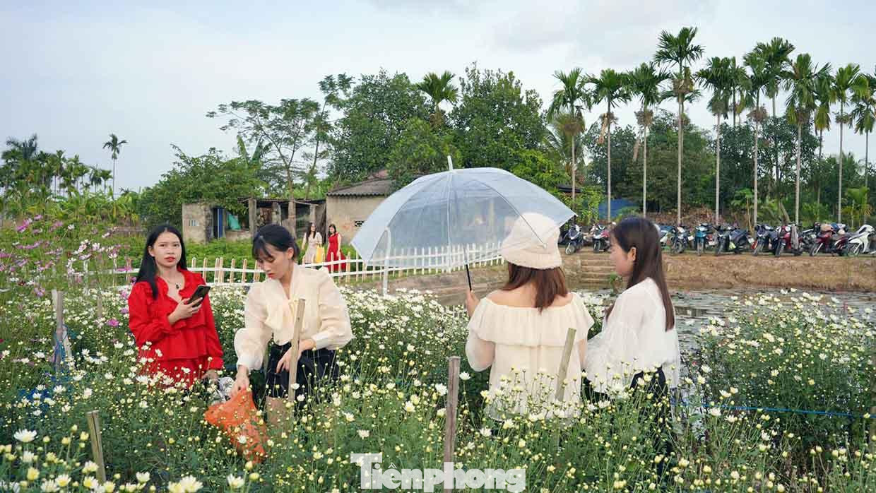An Ngọc (21 tuổi, ở Hải Phòng) chia sẻ, những vườn cúc rực rỡ sắc màu chỉ kéo dài trong khoảng thời gian một tháng, do đó rất nhiều bạn trẻ tranh thủ tới vườn cúc check-in, chụp ảnh lưu giữ những khoảnh khắc, kỷ niệm thanh xuân.