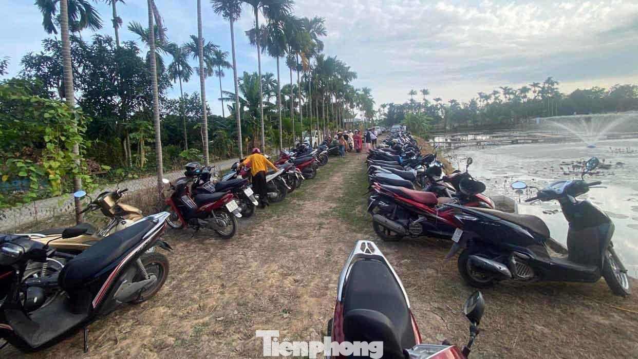 Khu vực để xe chật kín phương tiện, nhiều nhà vườn hỗ trợ miễn phí trông xe cho khách.