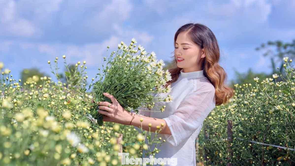 Nhiều khách đến vườn chụp ảnh còn sử dụng thêm dịch vụ thuê trang phục, trang điểm tại vườn hoặc thuê thợ ảnh để có được những bức hình đẹp nhất.