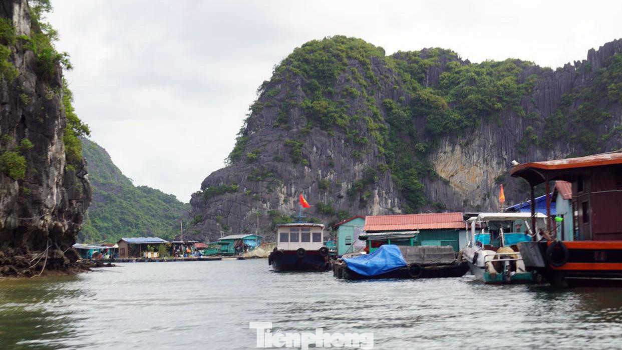 Các phương tiện neo đậu trên Vịnh trung tâm thị trấn Cát Bà, TP Hải Phòng. Ảnh: Tư liệu Các phương tiện neo đậu trên Vịnh trung tâm thị trấn Cát Bà, TP Hải Phòng. Ảnh: Tư liệu