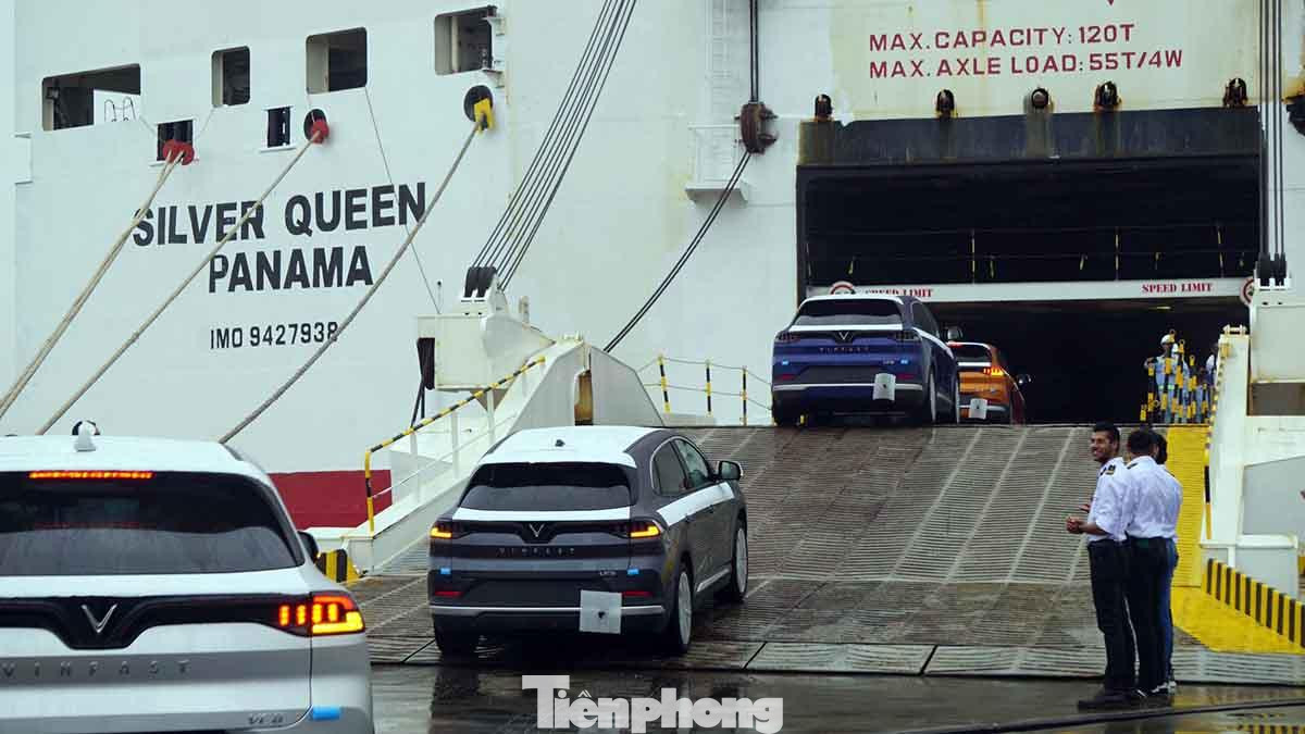 Những chiếc ô tô điện đầu lên lên tàu biển xuất khẩu sang Mỹ. Những chiếc ô tô điện đầu lên lên tàu biển xuất khẩu sang Mỹ.