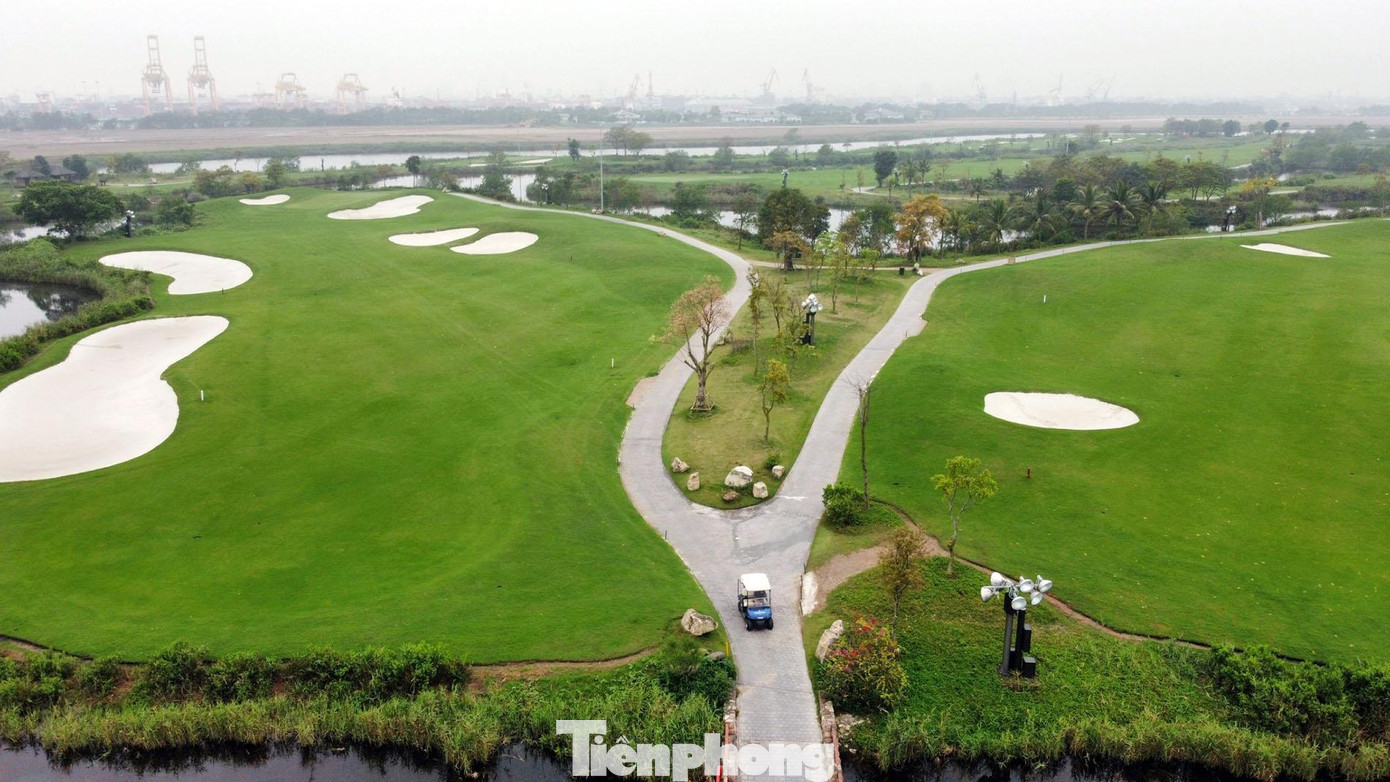 Các khu vực tee box, fairway của sân golf được phủ xanh bởi nền cỏ Platinum Paspalum. Khu vực green được phủ cỏ Bermuda TifEagle nhằm đảm bảo cho chất lượng sân golf hoạt động trong điều kiện lý tưởng quanh năm.