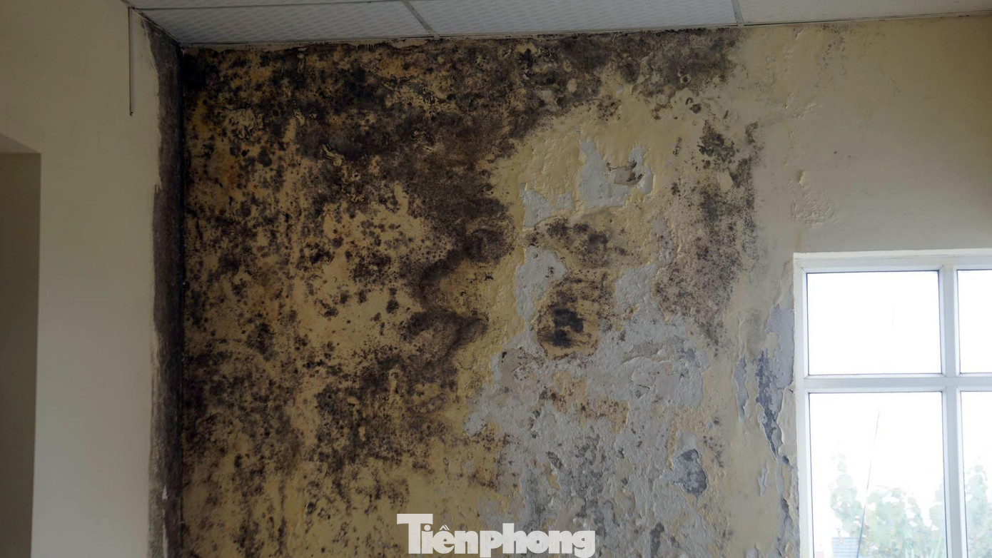 Bên trong tòa nhà A Bệnh viện Đa khoa tỉnh Hải Dương, nhiều khu vực tường nhà xuống cấp, ẩm mốc, bong tróc.