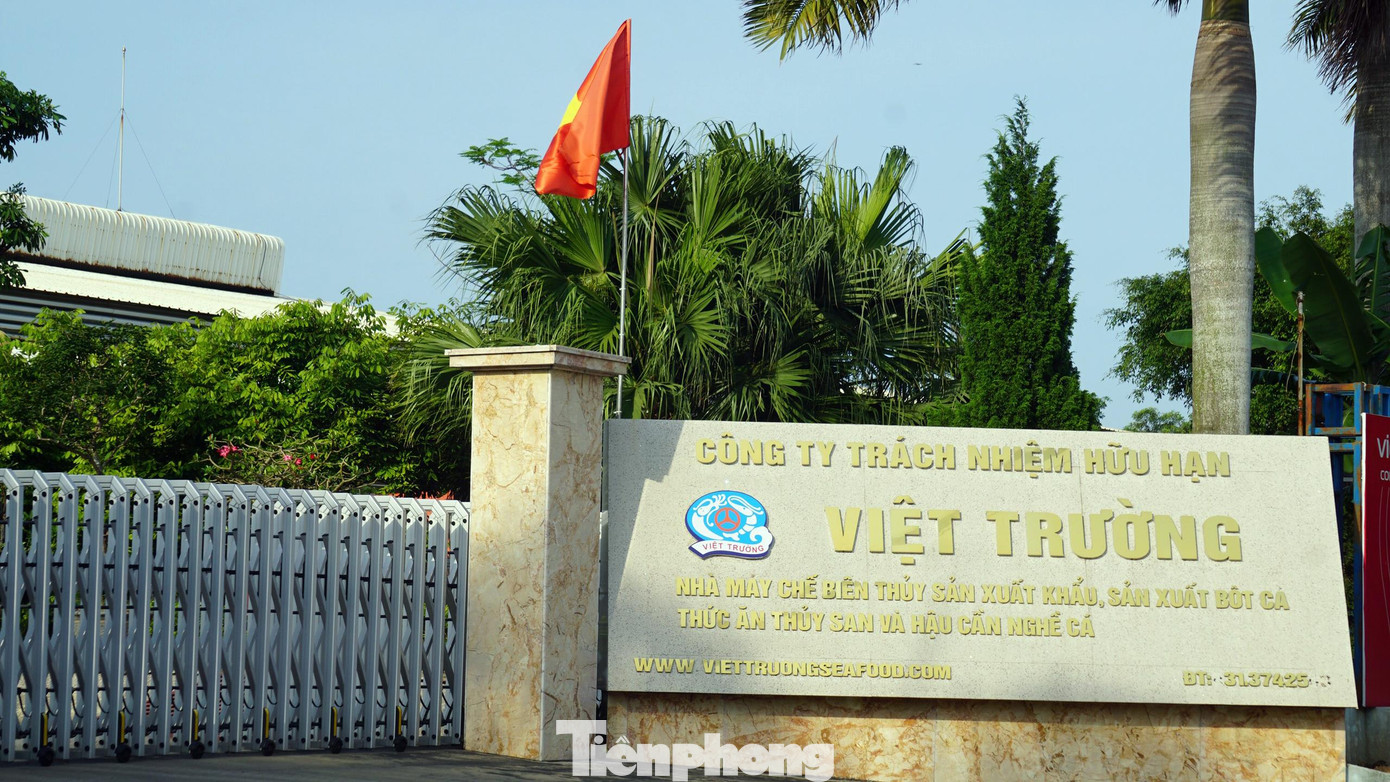 Trụ sở nhà máy chế biến thủy sản xuất khẩu của Công ty Việt Trường.