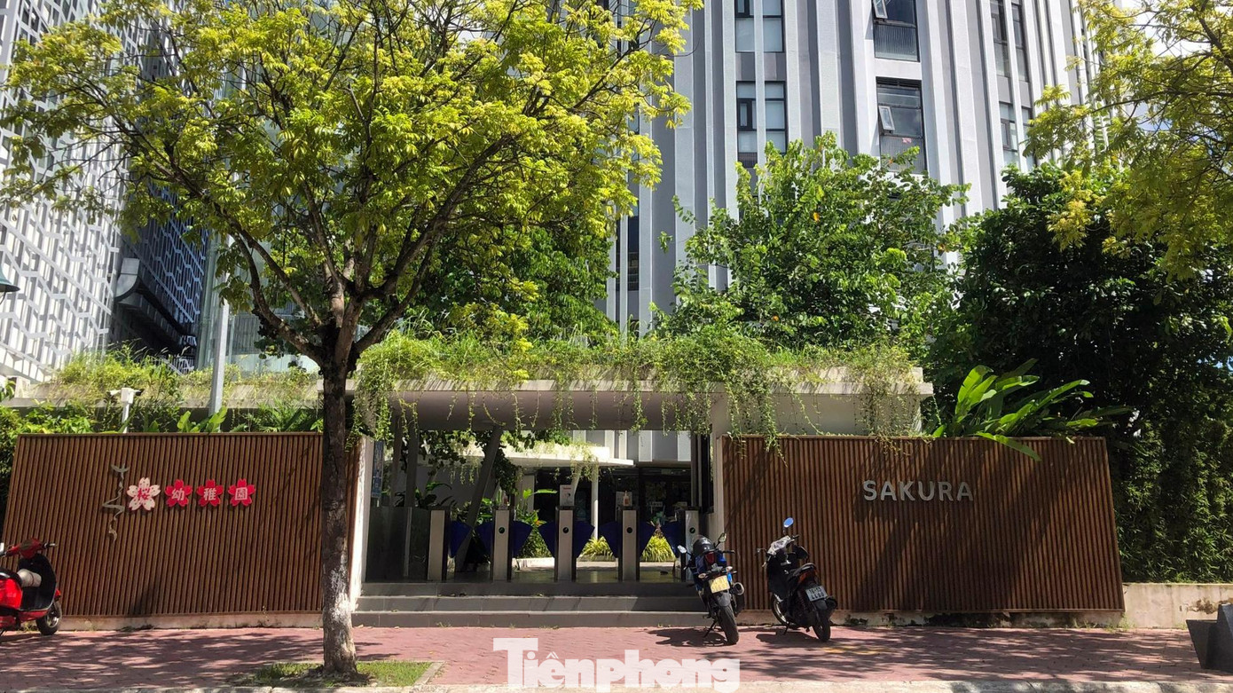 Trường mầm non quốc tế Sakura, tại phường Anh Dũng (quận Dương Kinh, TP Hải Phòng). Trường mầm non quốc tế Sakura, tại phường Anh Dũng (quận Dương Kinh, TP Hải Phòng).